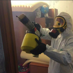 Уничтожение клопов в квартире. Смоленск